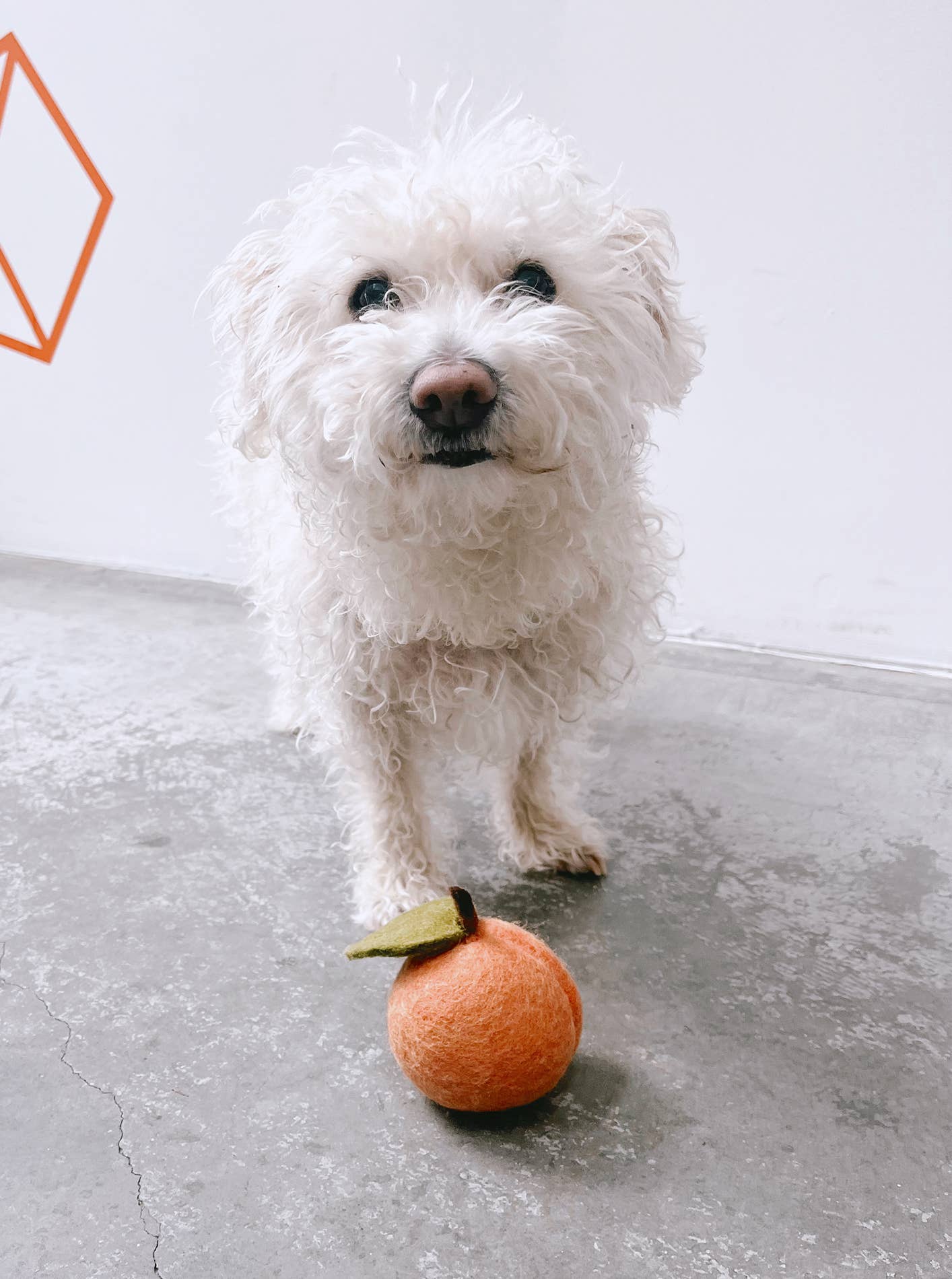 Doggy Peach Toy