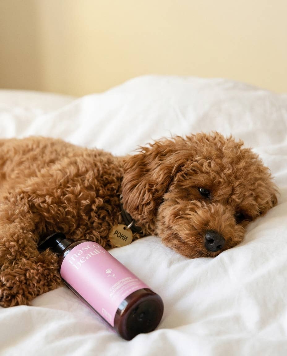 Detanglin Conditioner for pets