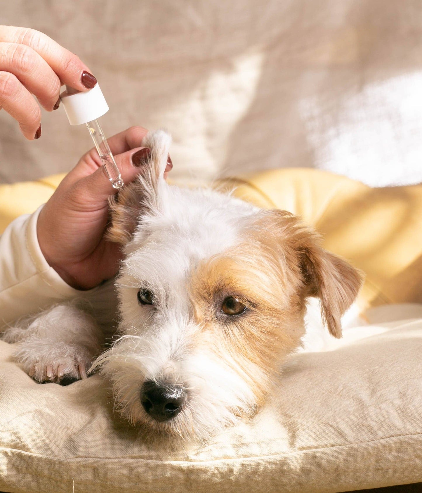 Soothing ear cleaner for dogs - Gel Serum