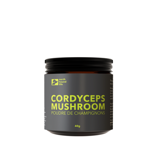 Cordyceps Mushroom - Energy & Endurance