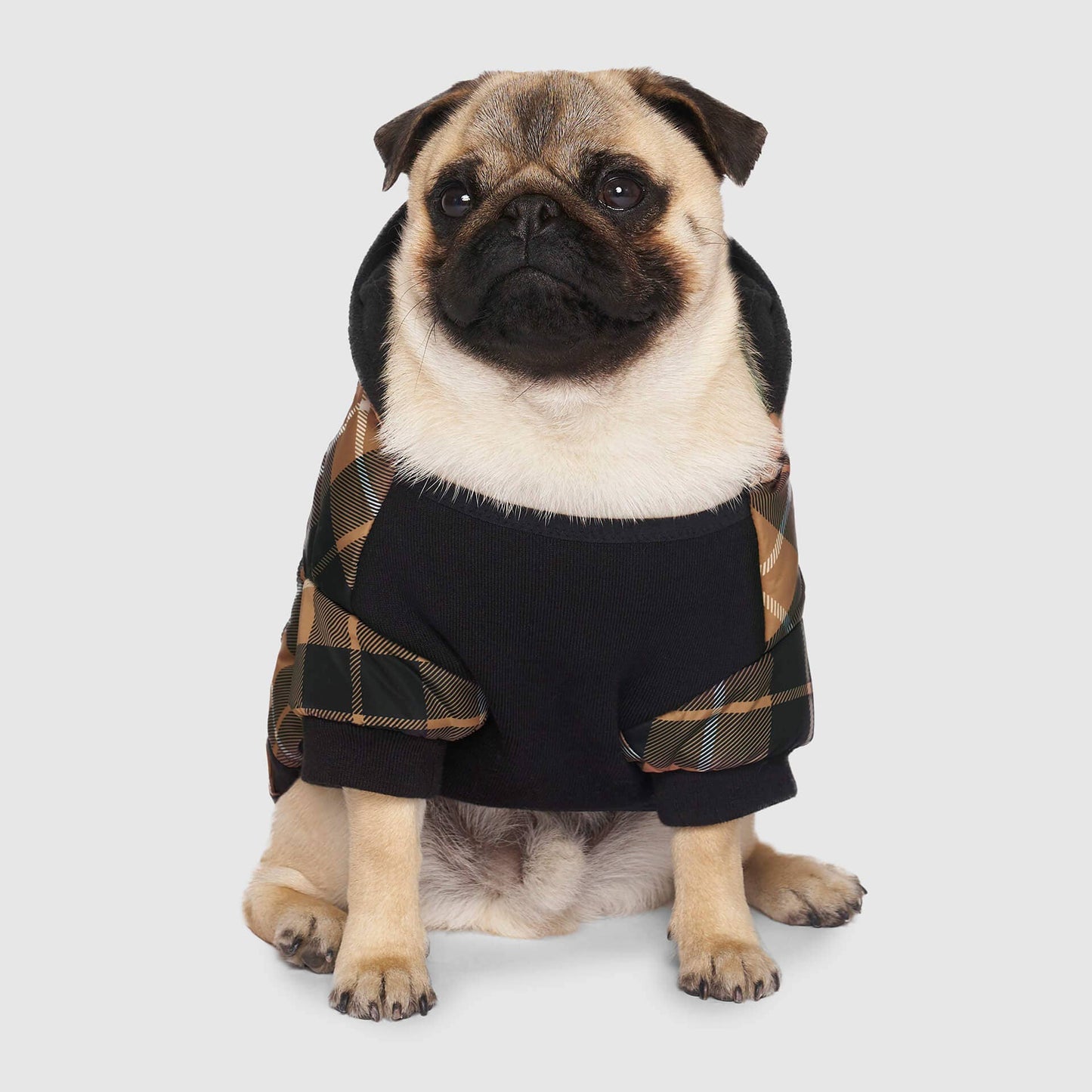 Prism Puffer- Dog Coat: Galaxy / 8