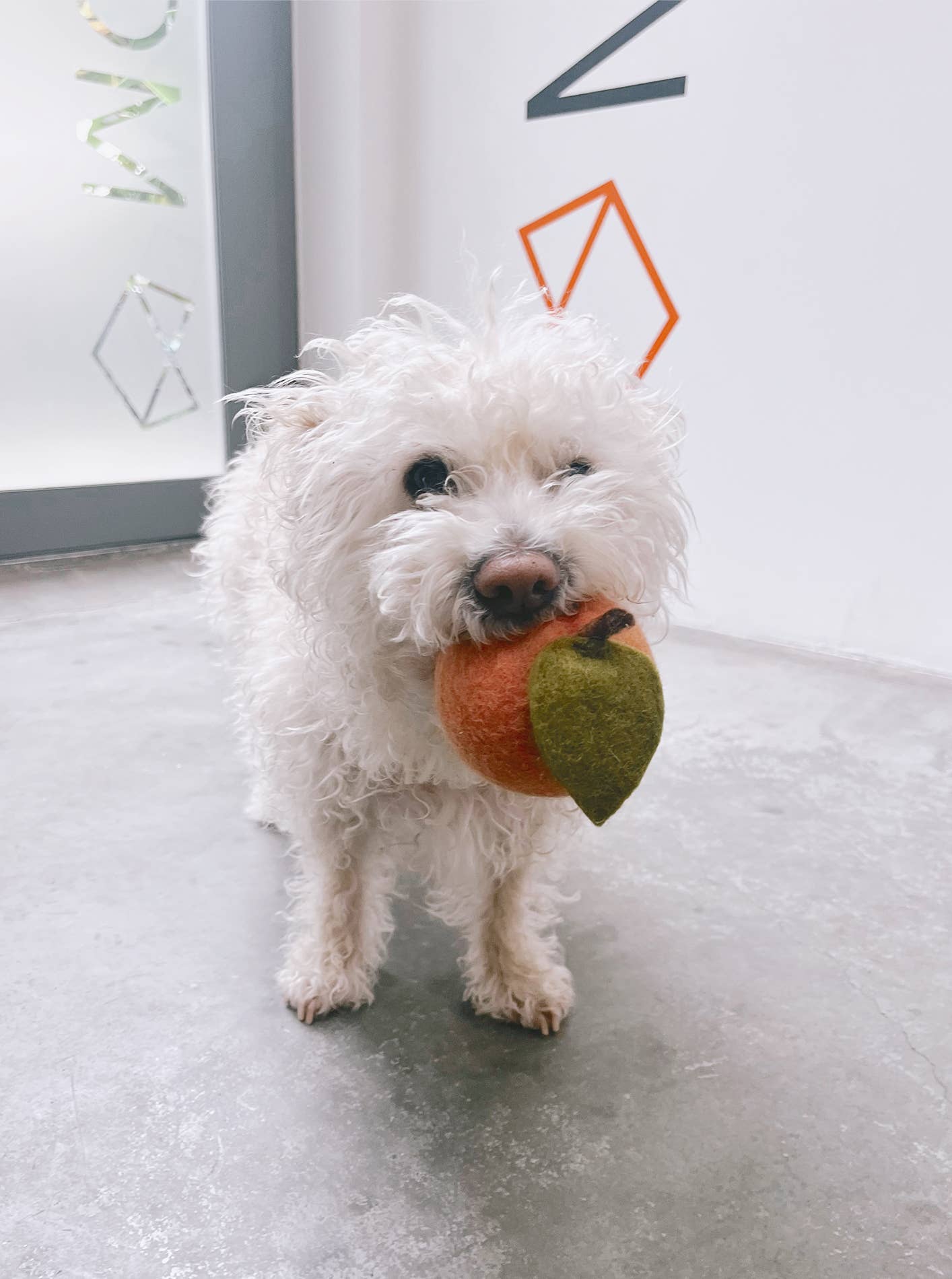 Doggy Peach Toy