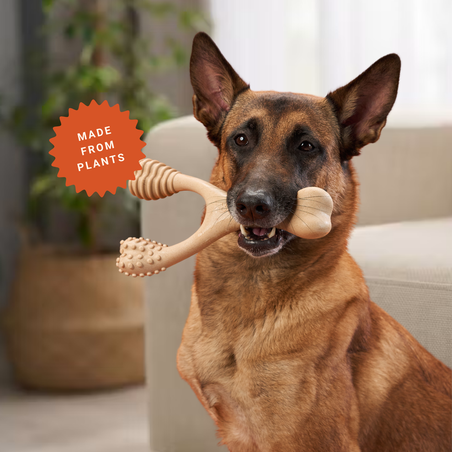 BetterBone Wishbone Plant Based Chew Toy - LARGE SIZE: Moderate / Venison / Large
