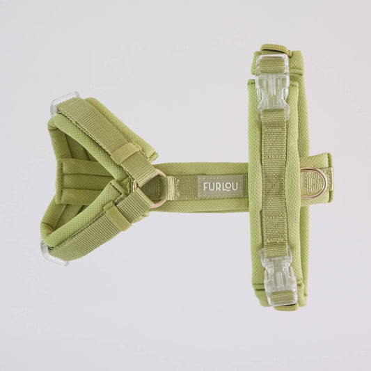 Lime Comfort Dog Harness