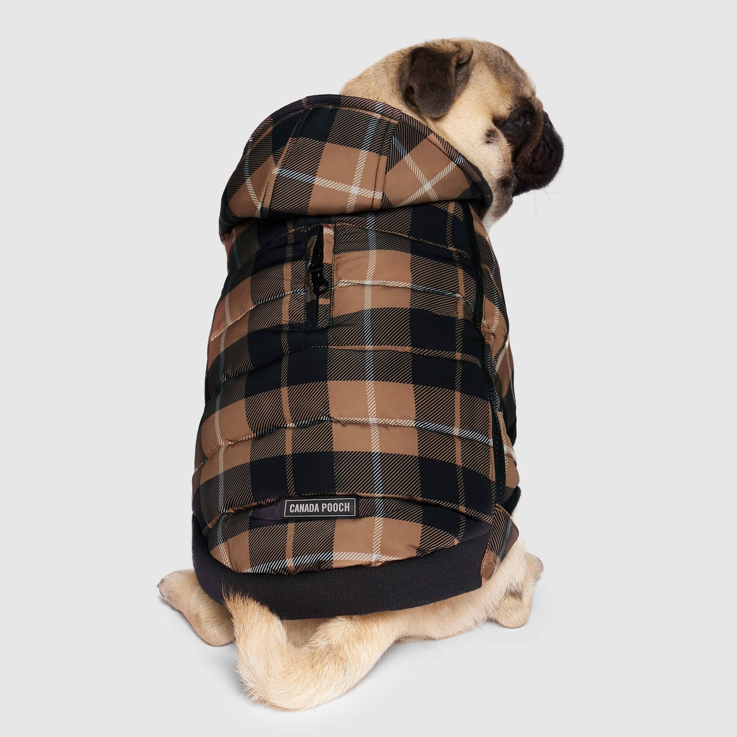 Prism Puffer- Dog Coat: Galaxy / 8