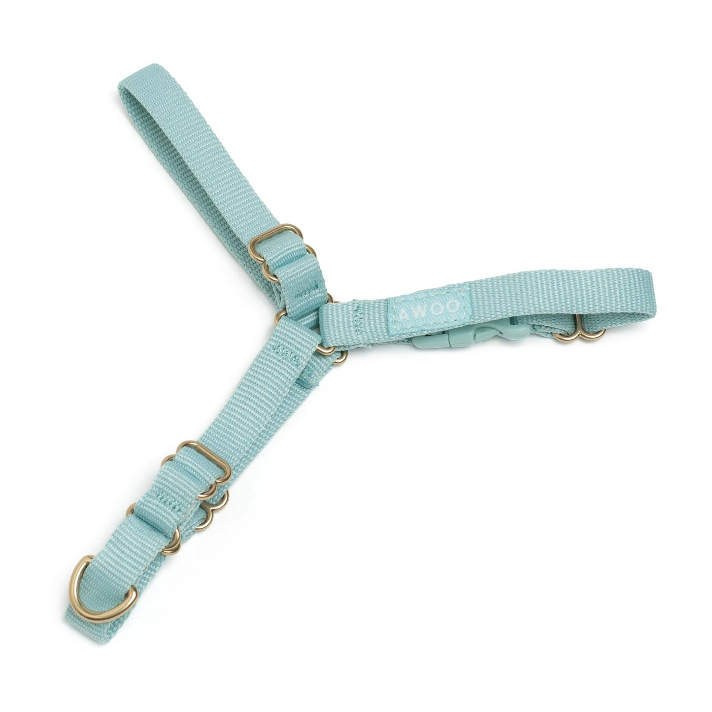 Roam Harness: CANDY / Large