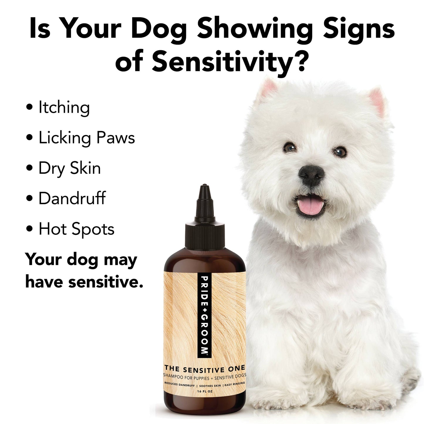 THE SENSITIVE ONE Shampoo, 12oz