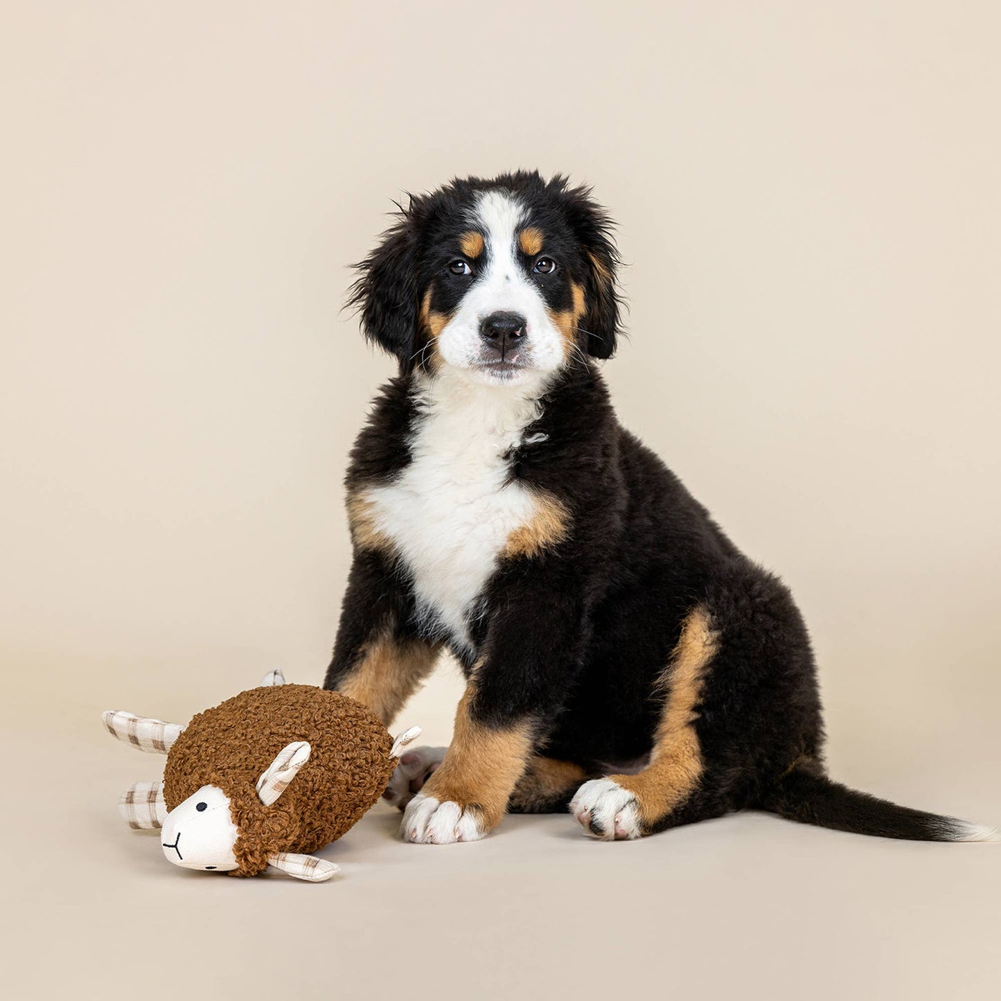 LAMMY MIXED MATERIAL DOG TOY