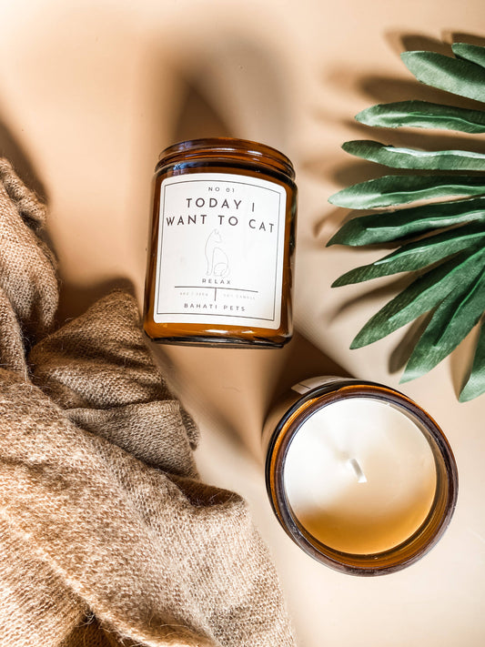 Today I Want to Cat Soy Candle