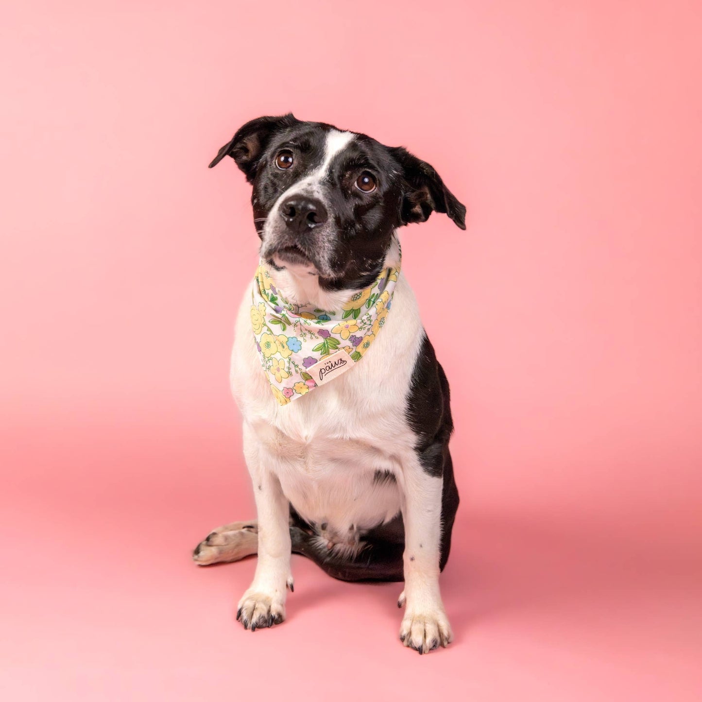 Petal Dog Bandana