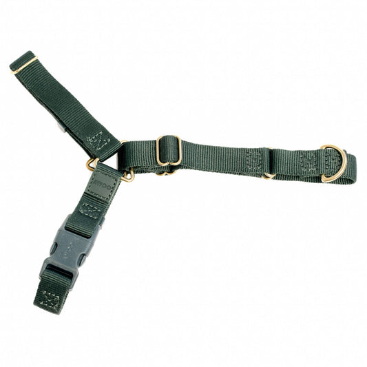 Roam Harness: PINE / Large
