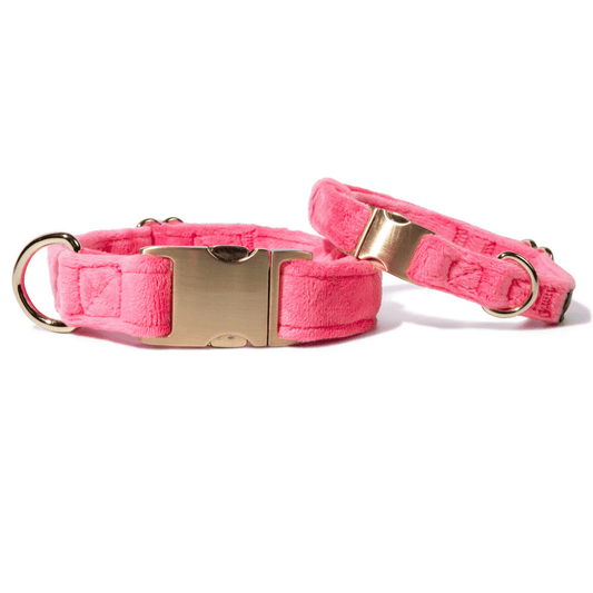 Pink Valentina Dog Collar