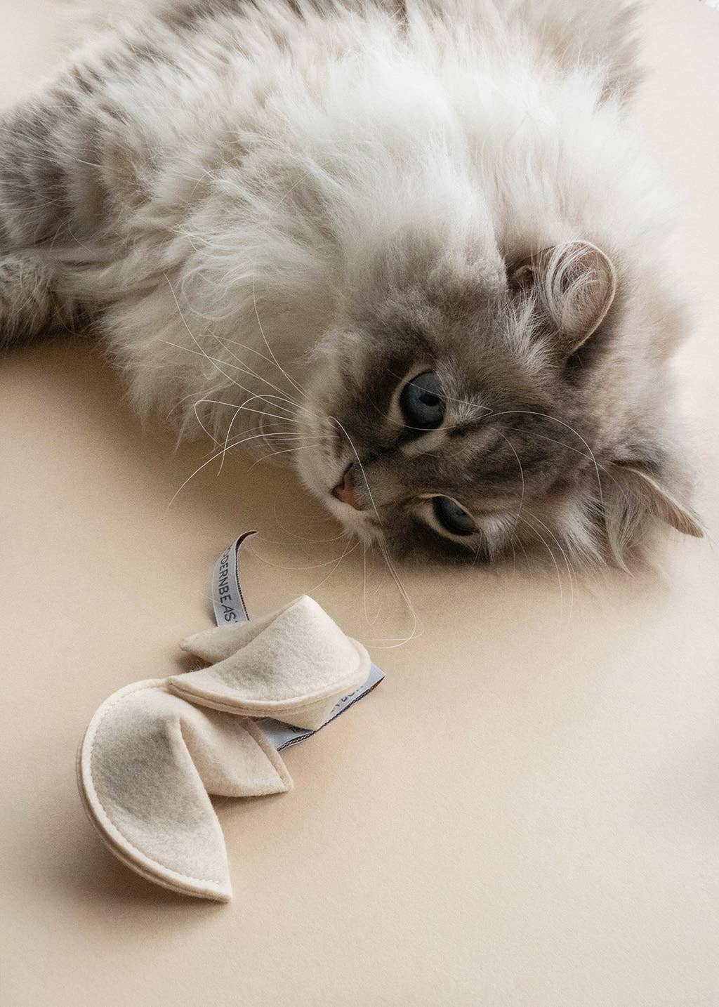 KITTY FORTUNE COOKIE Organic Catnip Cat Toy: The Time Is Right To Shred The Couch