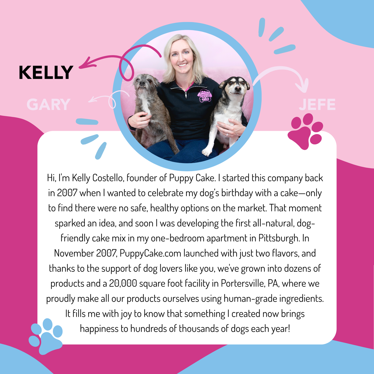 Christmas Edition Puppy Scoops – Festive Ice Cream Treats for Dogs