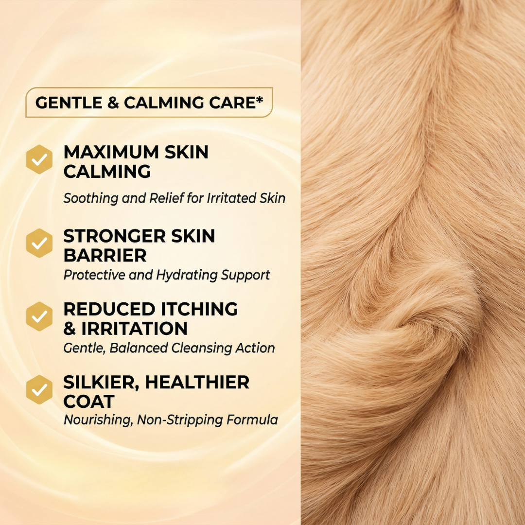 Purifying Dog Shampoo for Sensitive Skin with Aloe vera