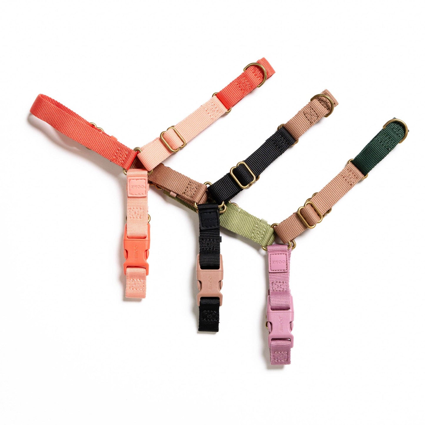 Roam Harness: CANDY / Large
