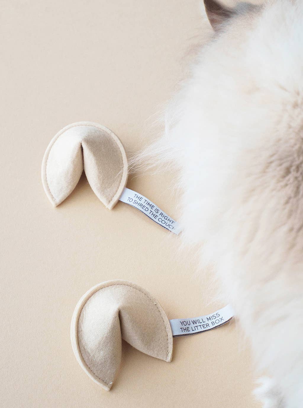 KITTY FORTUNE COOKIE Organic Catnip Cat Toy: The Time Is Right To Shred The Couch