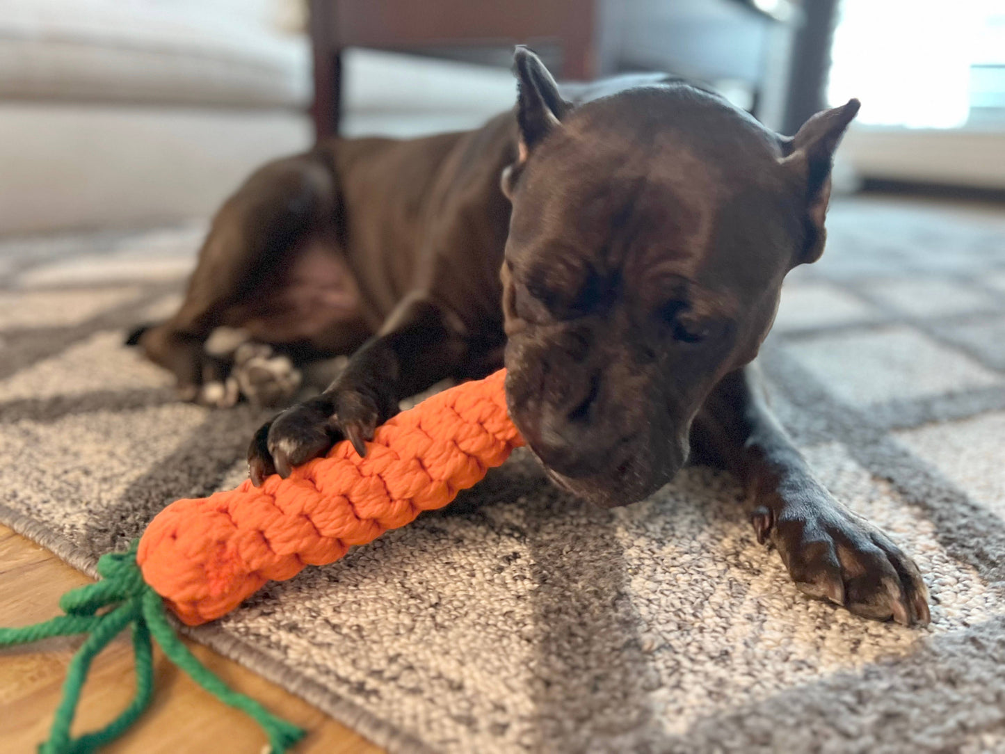 Large Carrot Rope Chew Toy