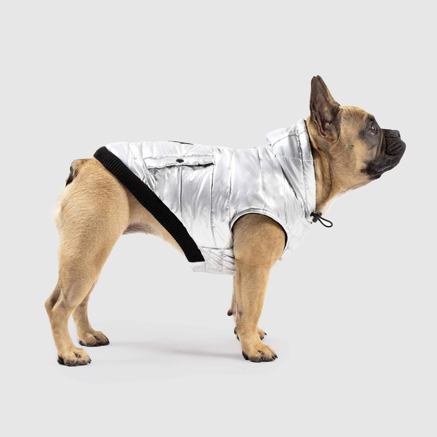 Shiny Puffer Vest- Dog Coat: Iridescent / 16