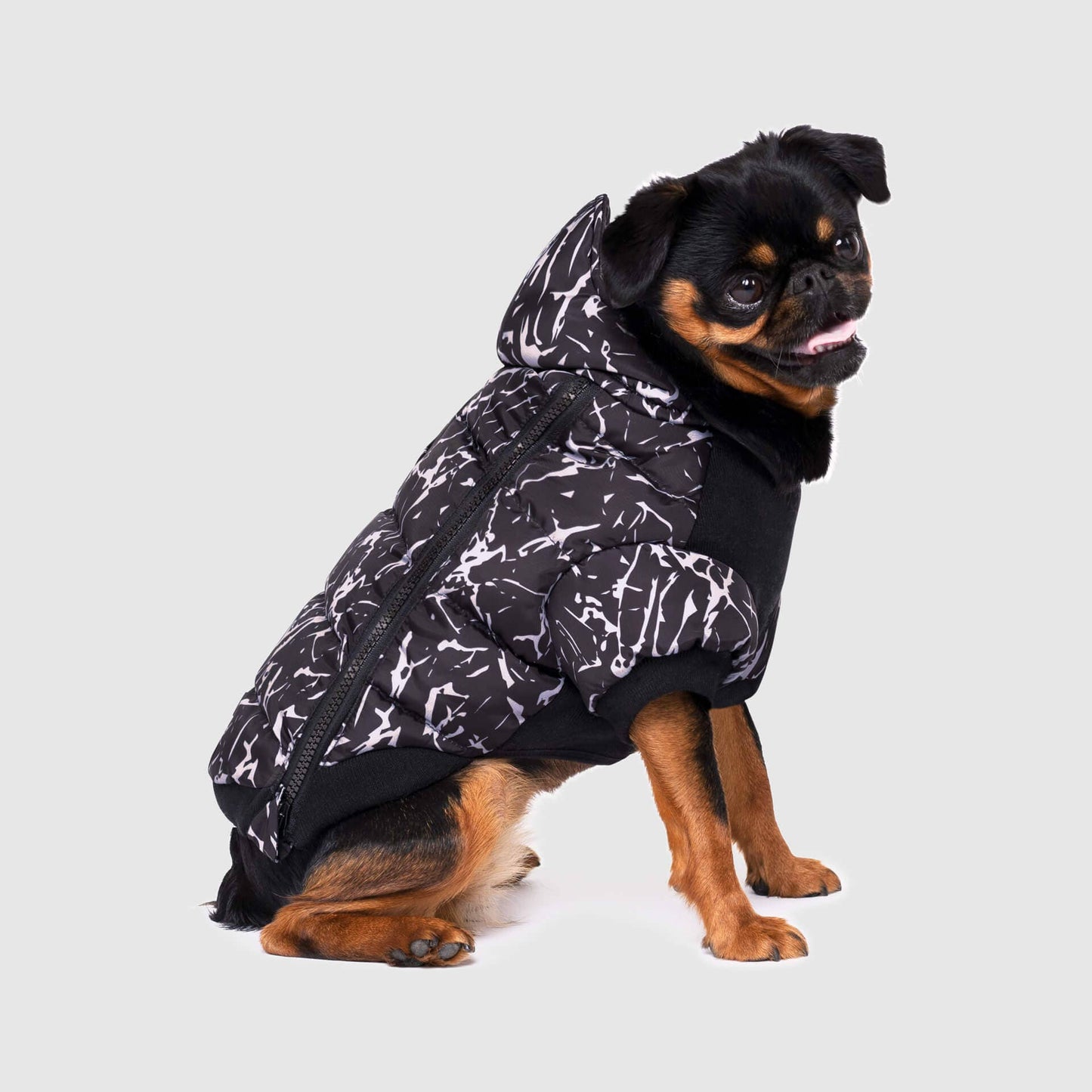 Prism Puffer- Dog Coat: Galaxy / 8