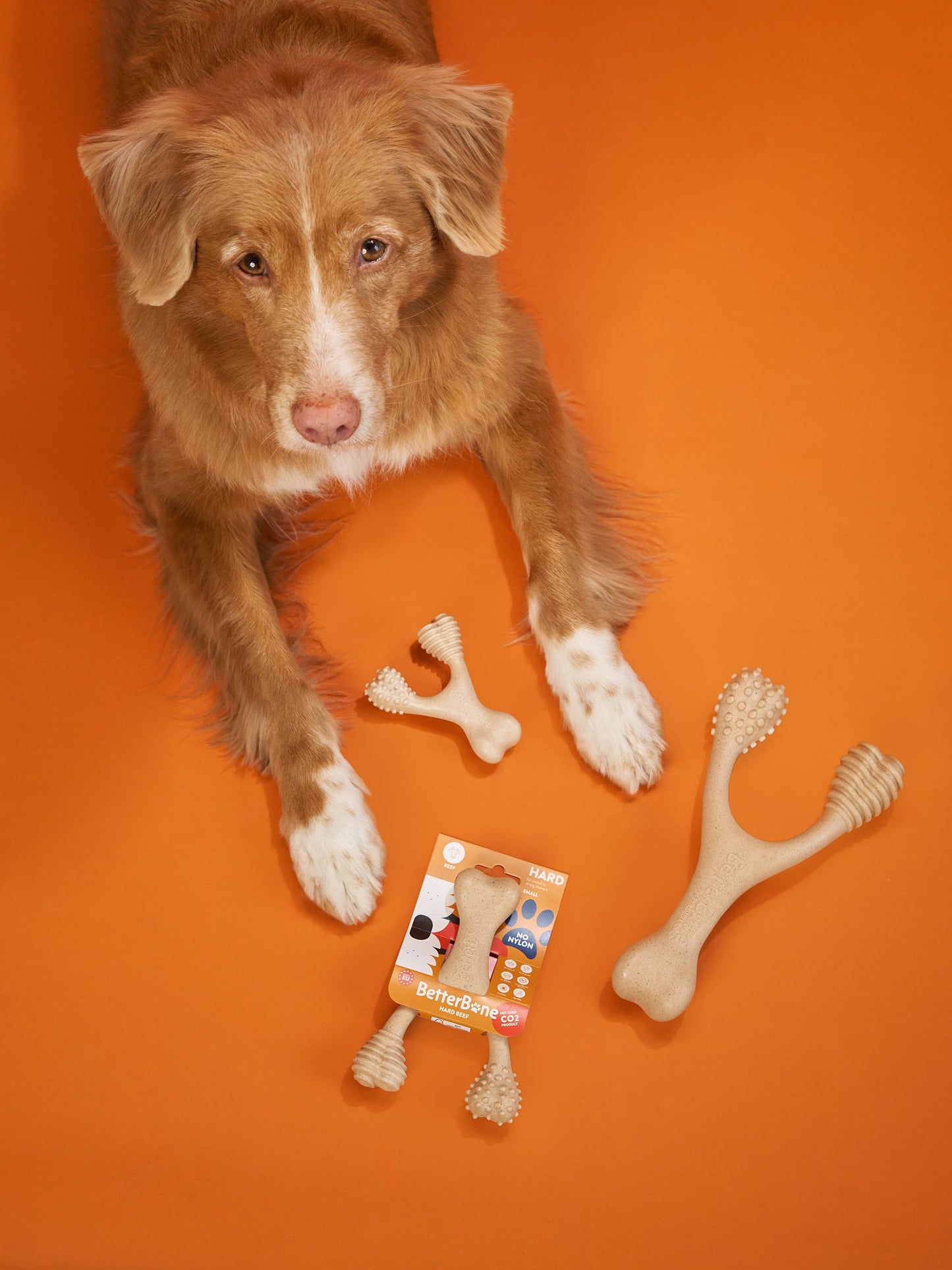 BetterBone HARD: Unflavored / Small (dogs under 25 lbs)