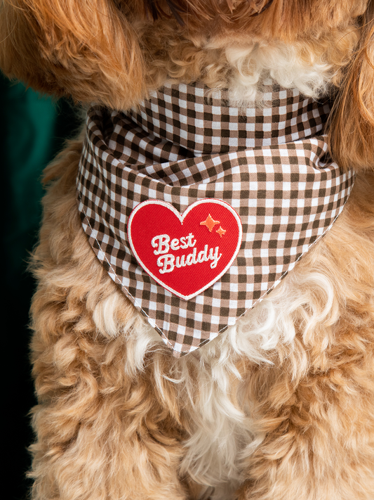 Best Buddy Patch