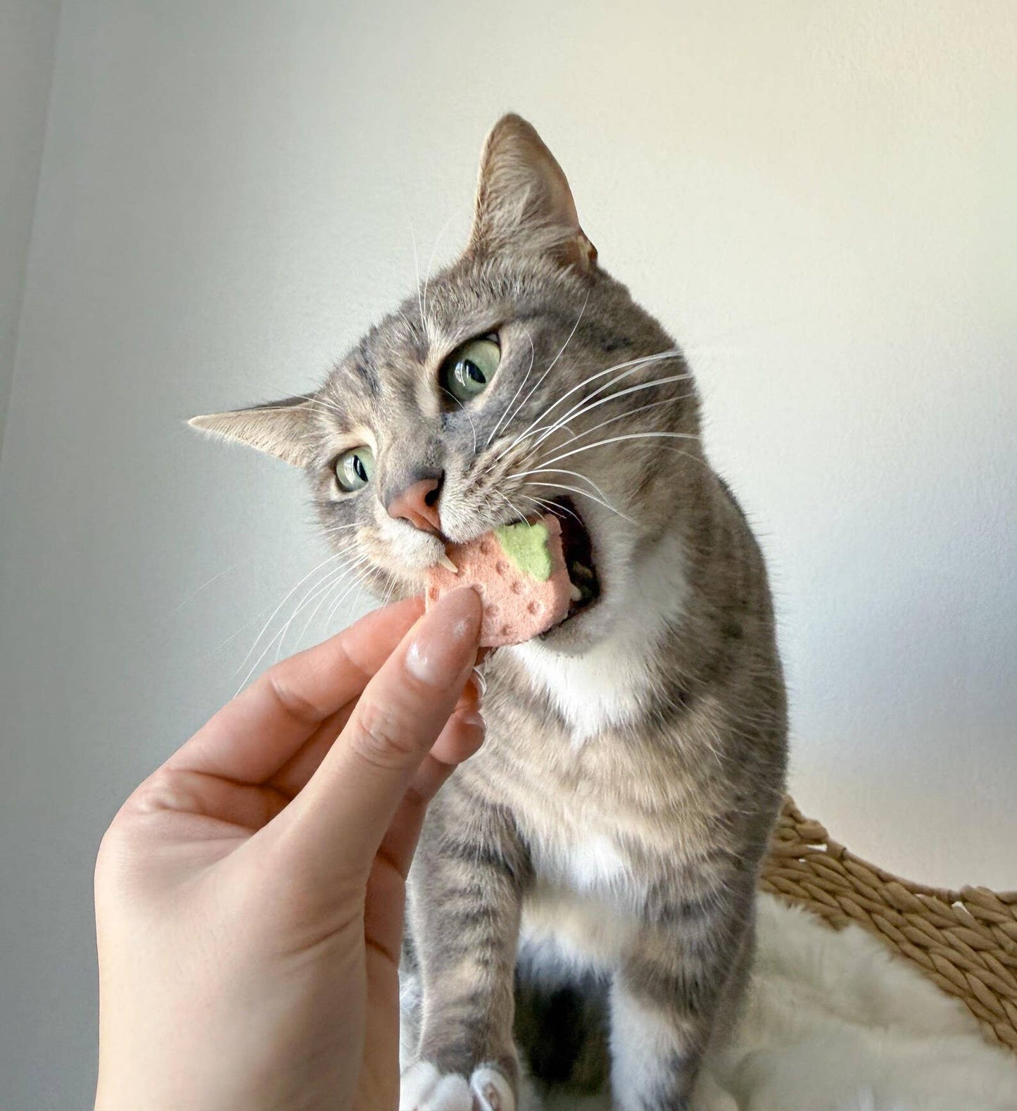 Freeze Dried Strawberry Yogurt Pet Treat for Cats & Dogs 40g