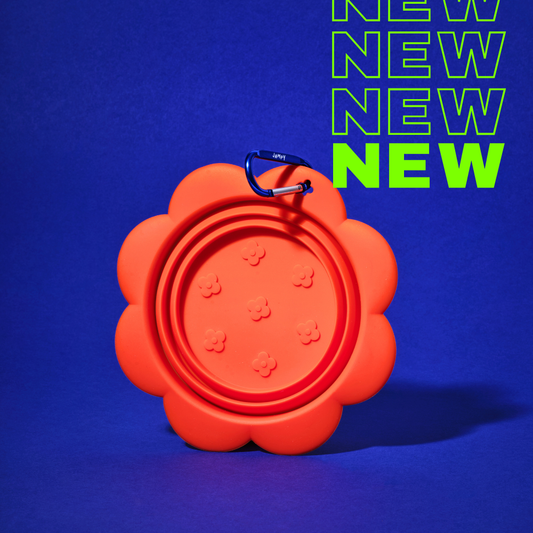 Flower Bowl - Silicone Collapsible Travel Bowl for Dogs