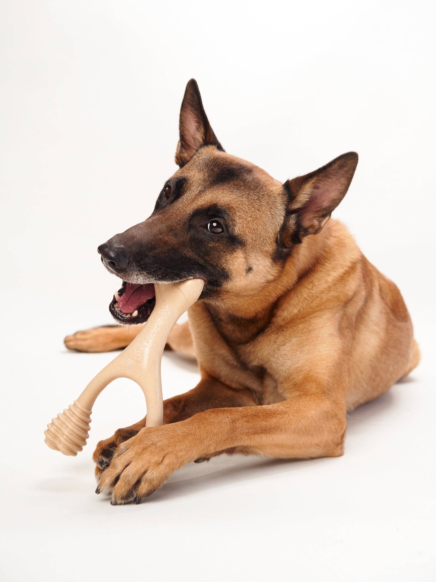 BetterBone HARD: Unflavored / Small (dogs under 25 lbs)