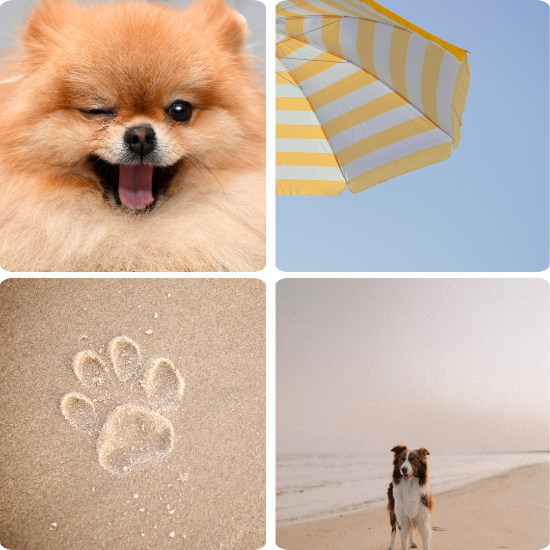 ALOHA DOG Natural Dog Sunscreen Spray SPF 30 – Dog Grooming