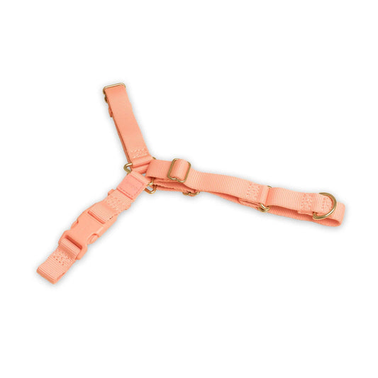 Roam Harness: PEACH / Large