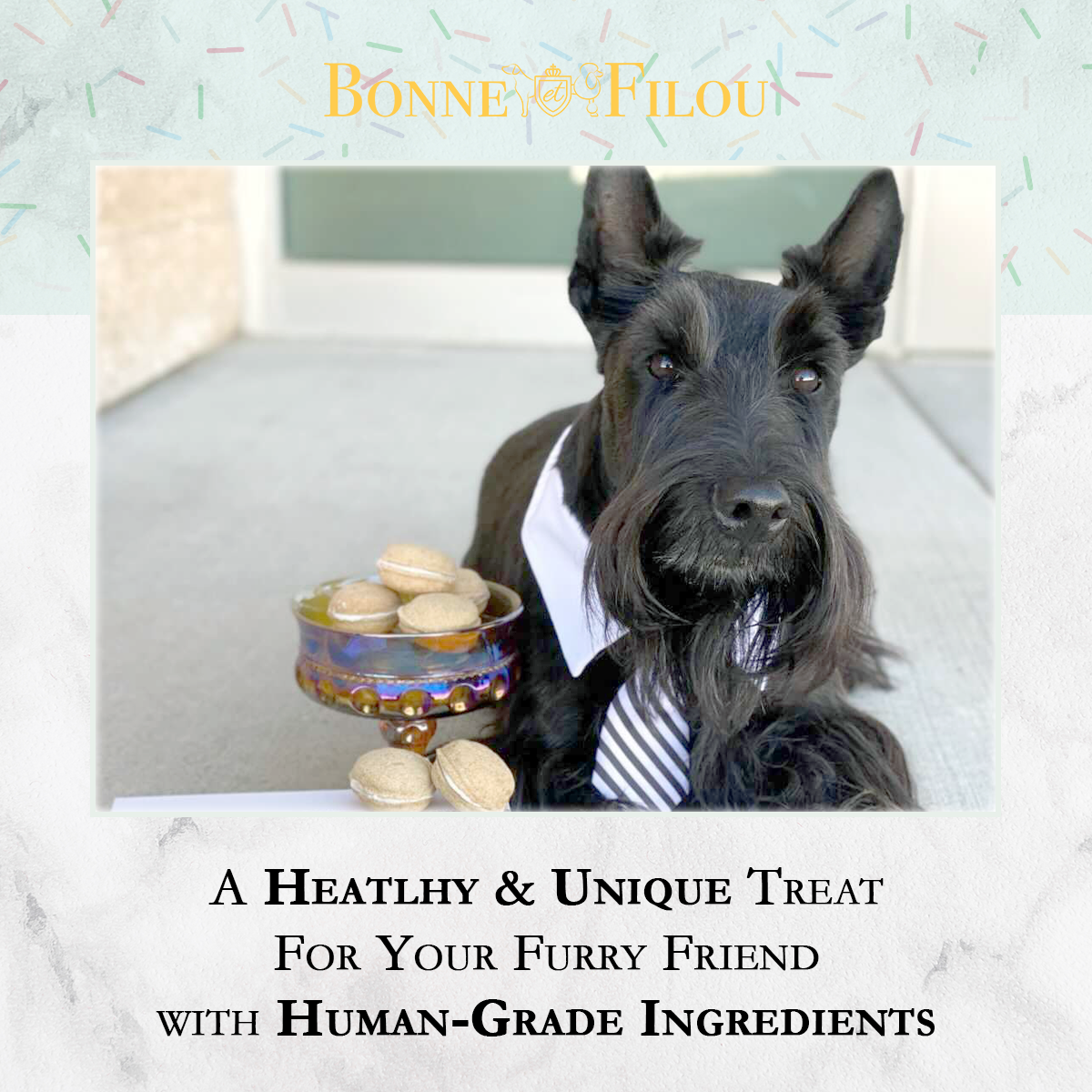 Bonne et Filou Dog Macarons | Birthday Cake