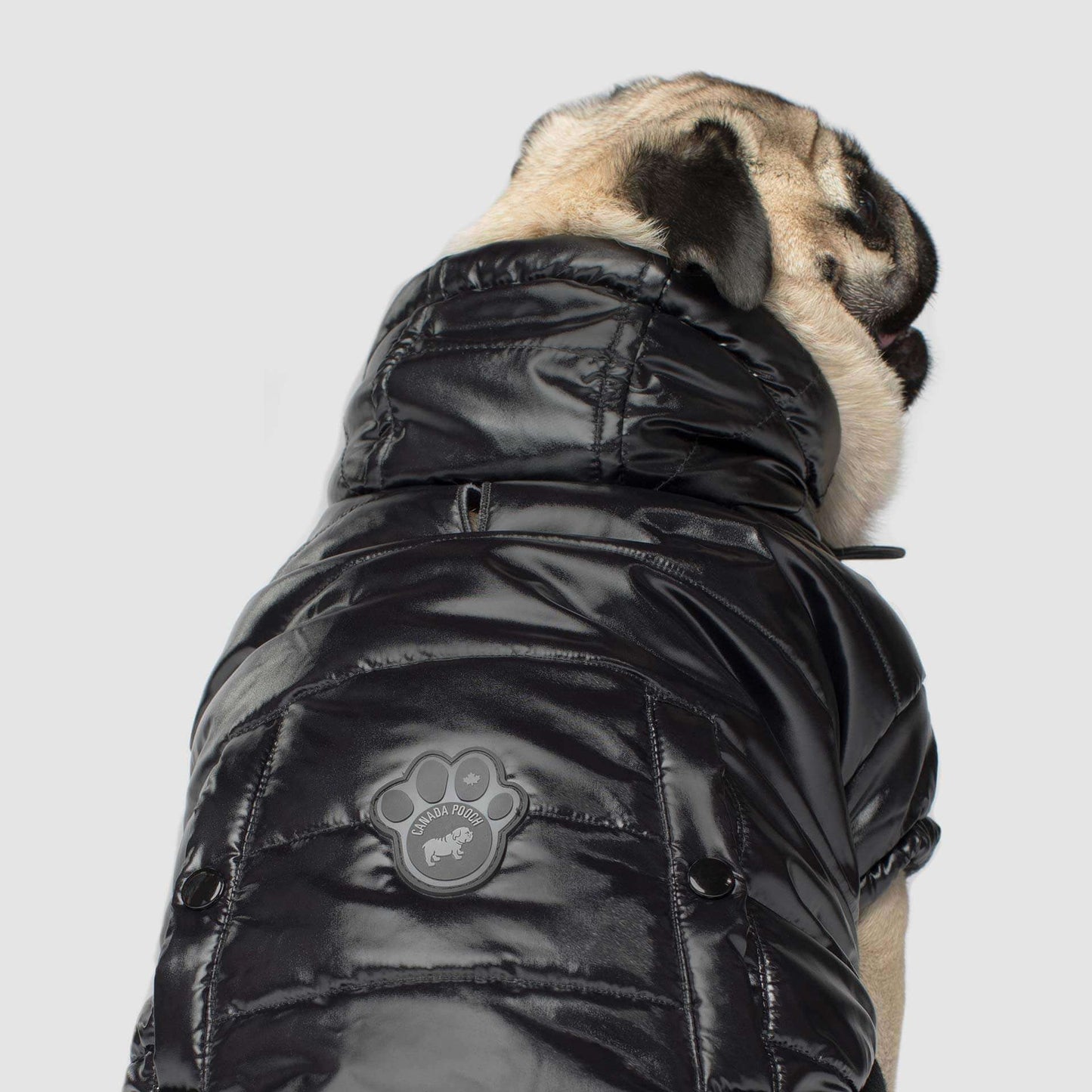 Shiny Puffer Vest- Dog Coat: Black