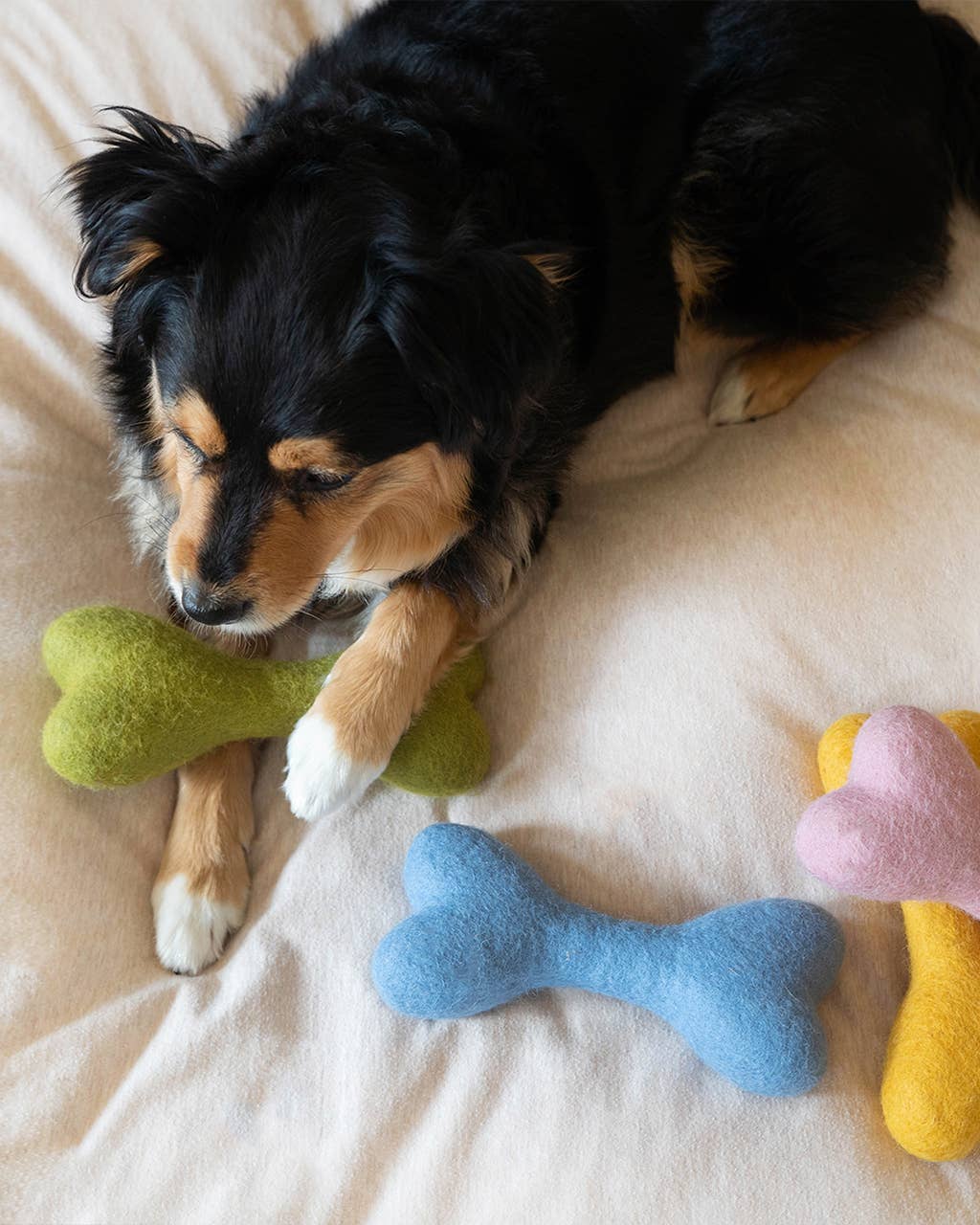 MB WOOLBONE Wool Dog Toy: Moss / L