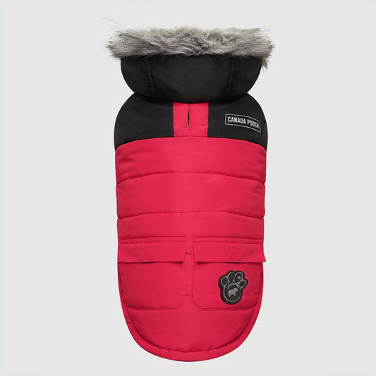 True North Dog Parka: Red / 26