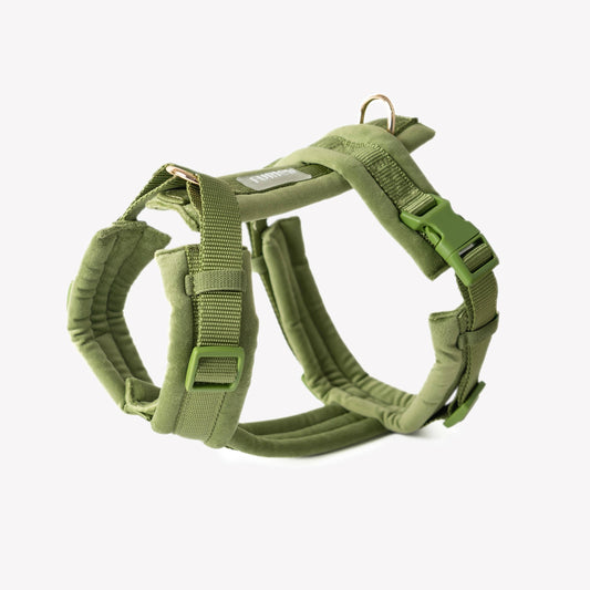 Green - Velvet Dog Harness: MEDIUM