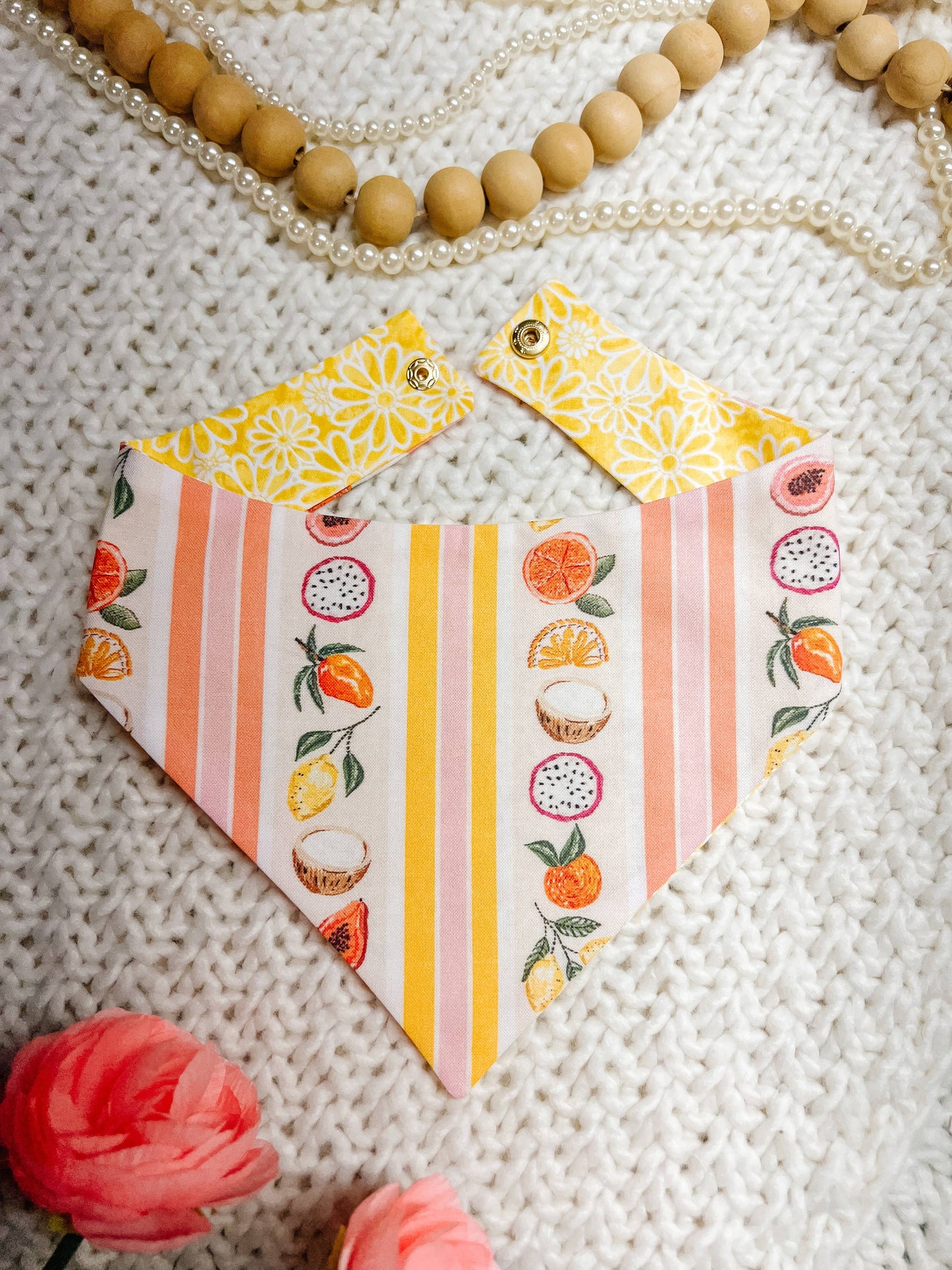 Fruit Snap-On Reversible Dog Bandana, Curved Neck: L