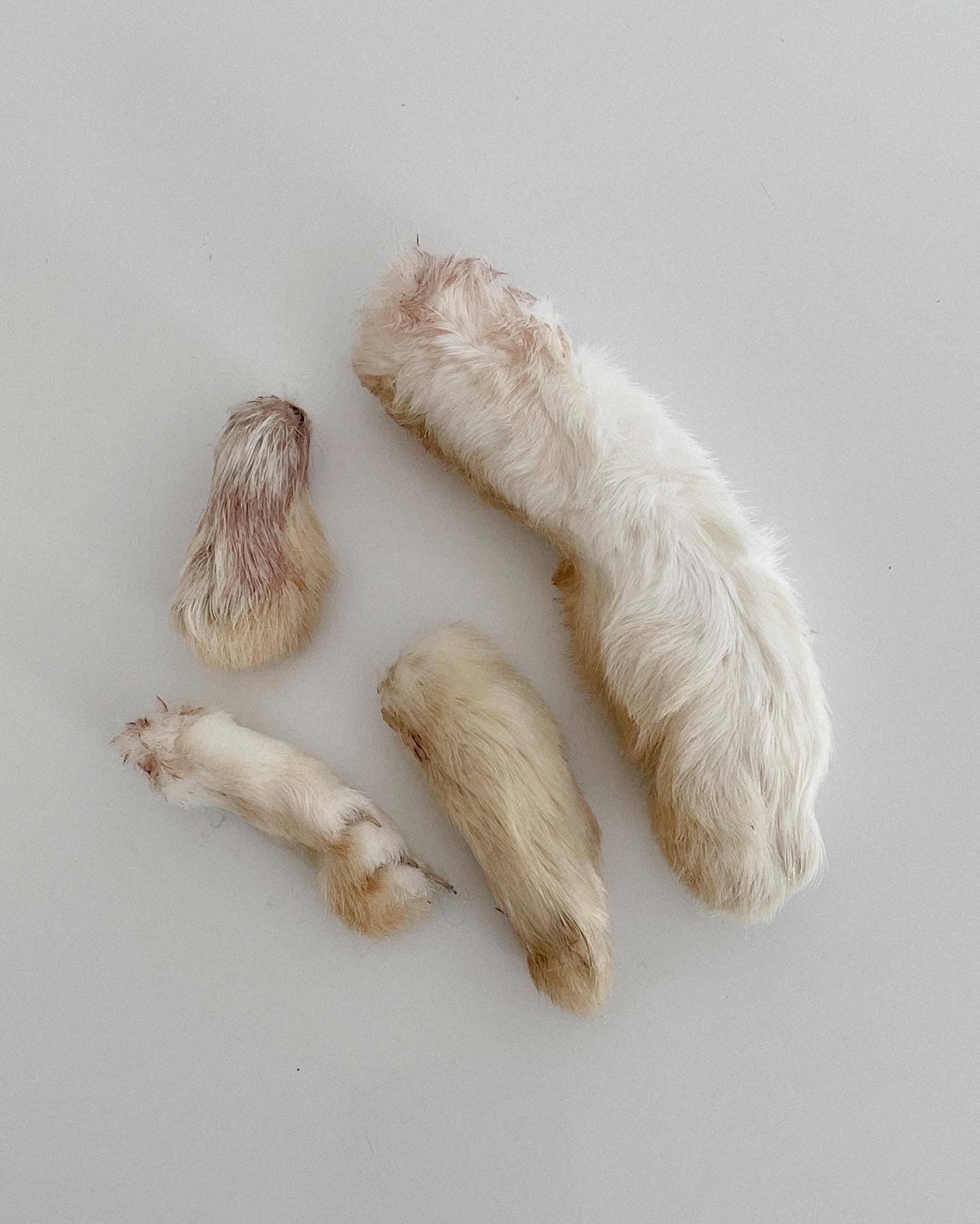 Dehydrated Rabbit Feet: 6 Pack