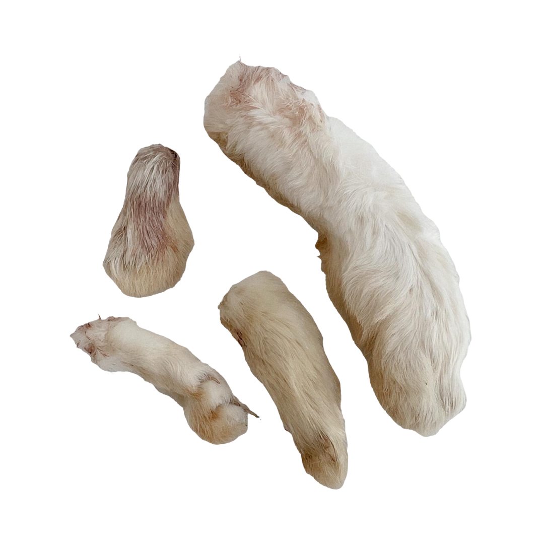 Dehydrated Rabbit Feet: 6 Pack