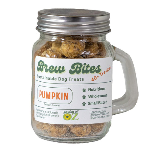 Brew Bites Dog Treats - Pumpkin Jar
