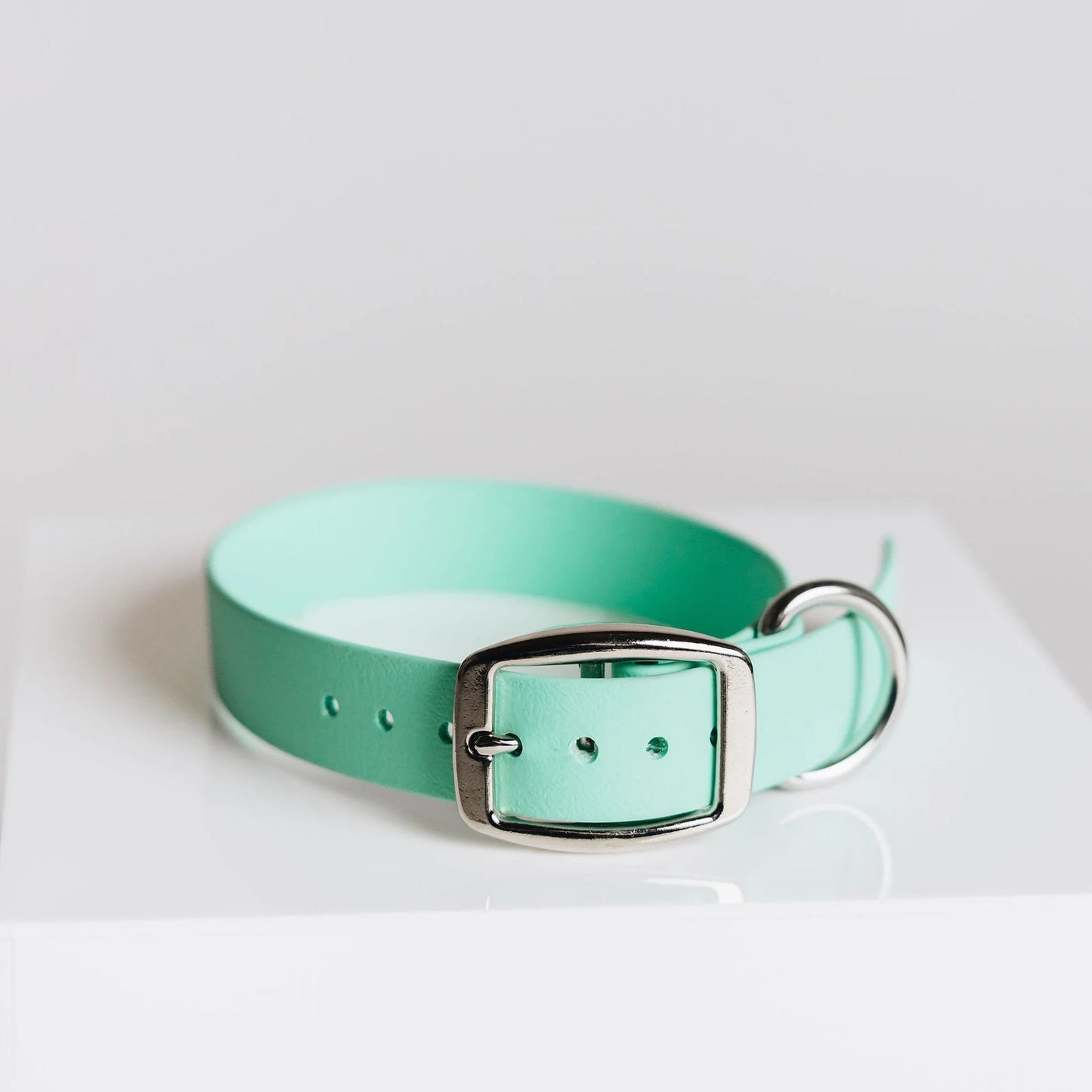 Classic 1" Dog Collar