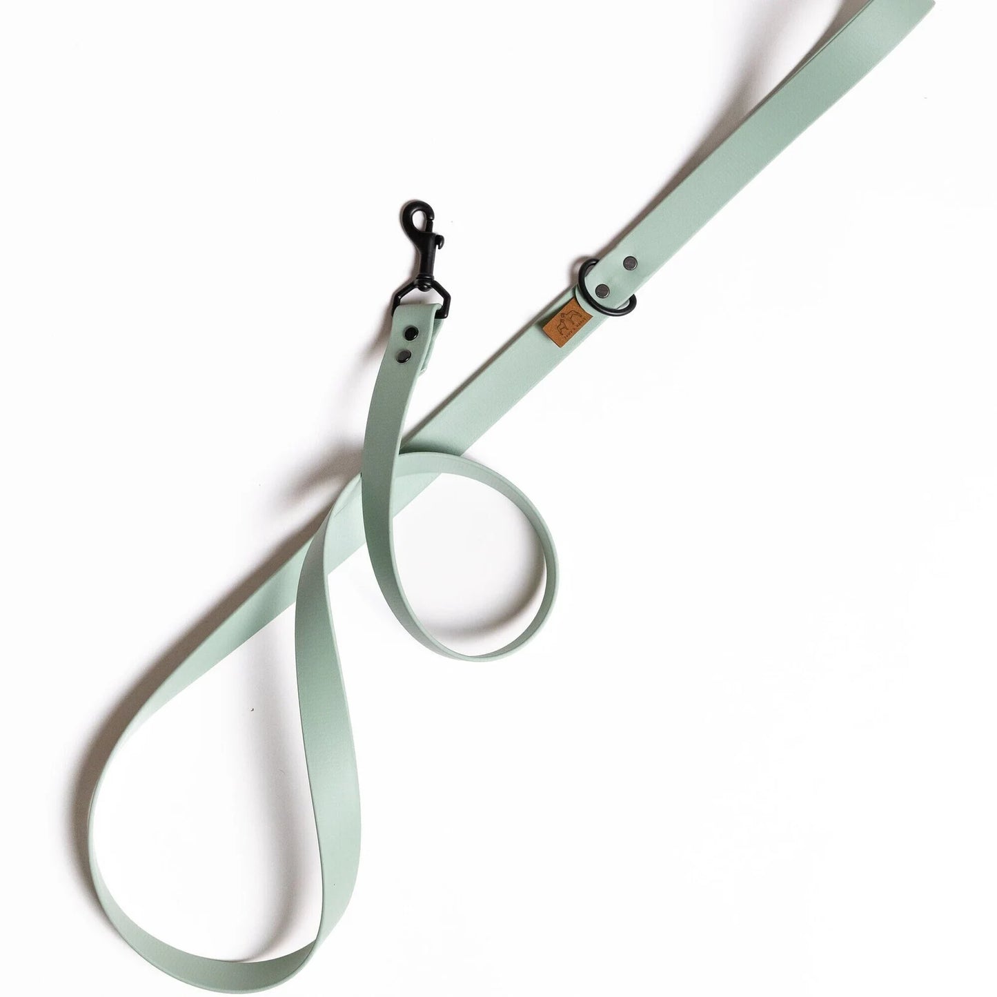 Biothane Classic Leash