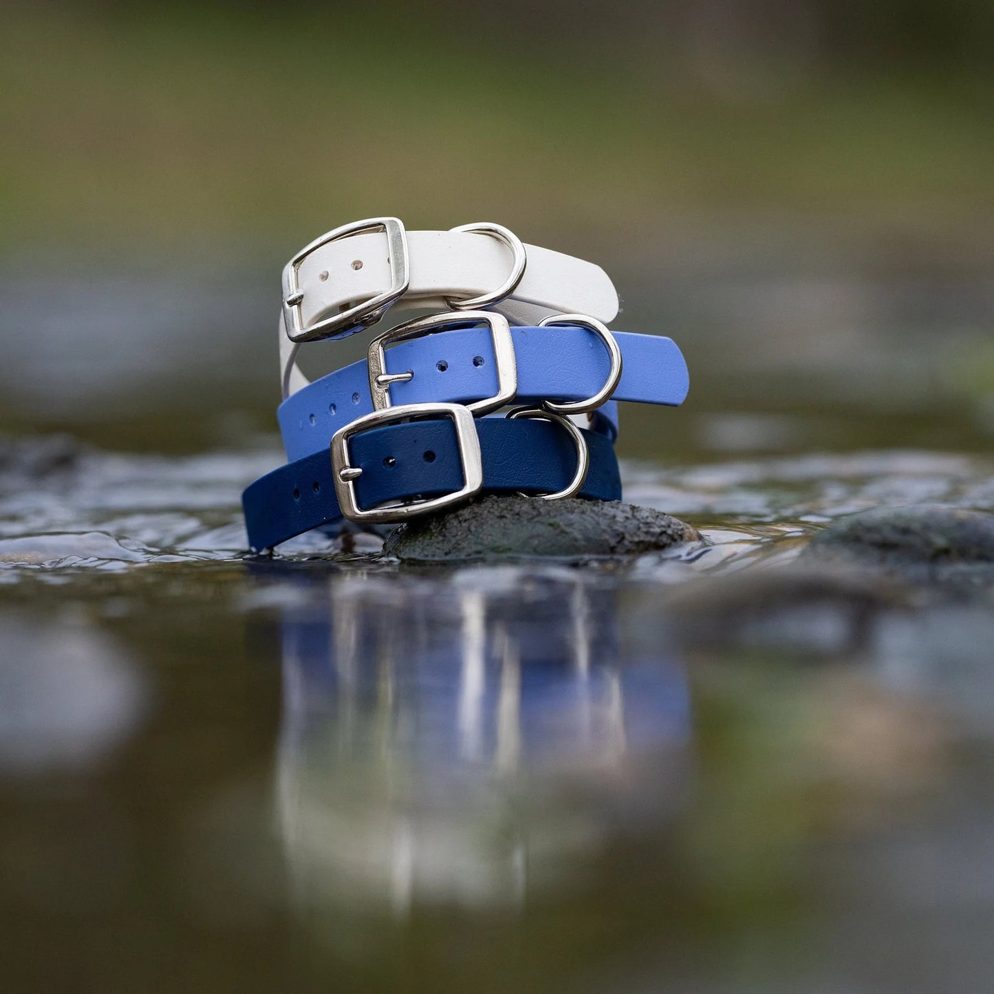 Classic 1" Dog Collar