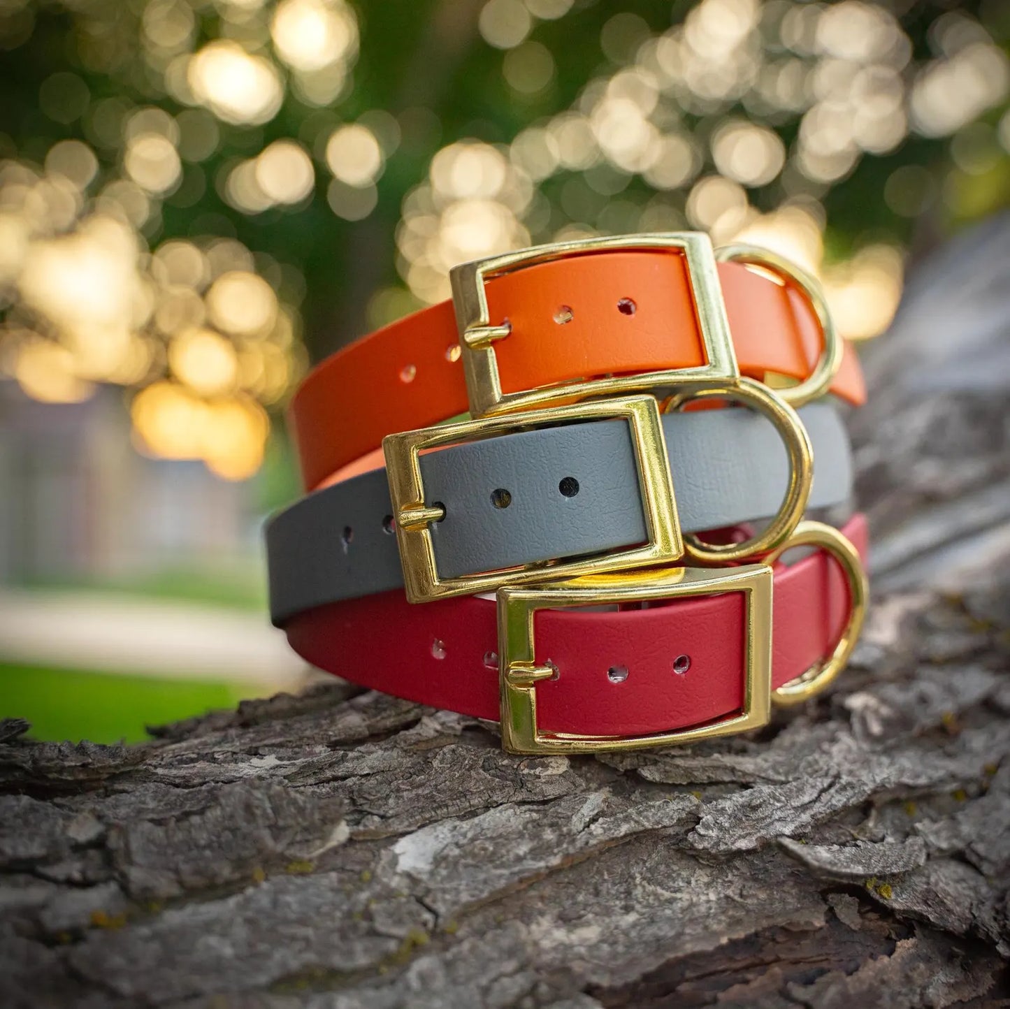 Classic 1" Dog Collar