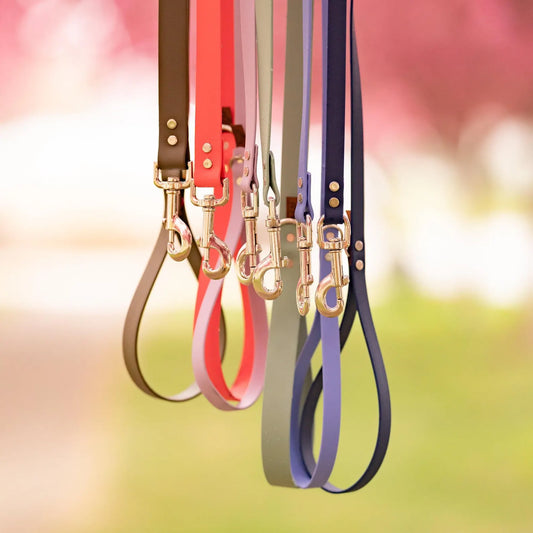 Biothane Classic Leash
